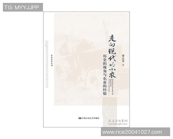 倪永康：从政坛风云到历史评说的多维视角探索