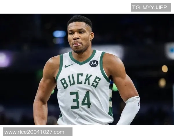 字母哥决定不提前续约期待雄鹿能否在新赛季争冠