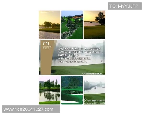 景菡一的成长之路：探索自我与梦想交汇的美丽旅程